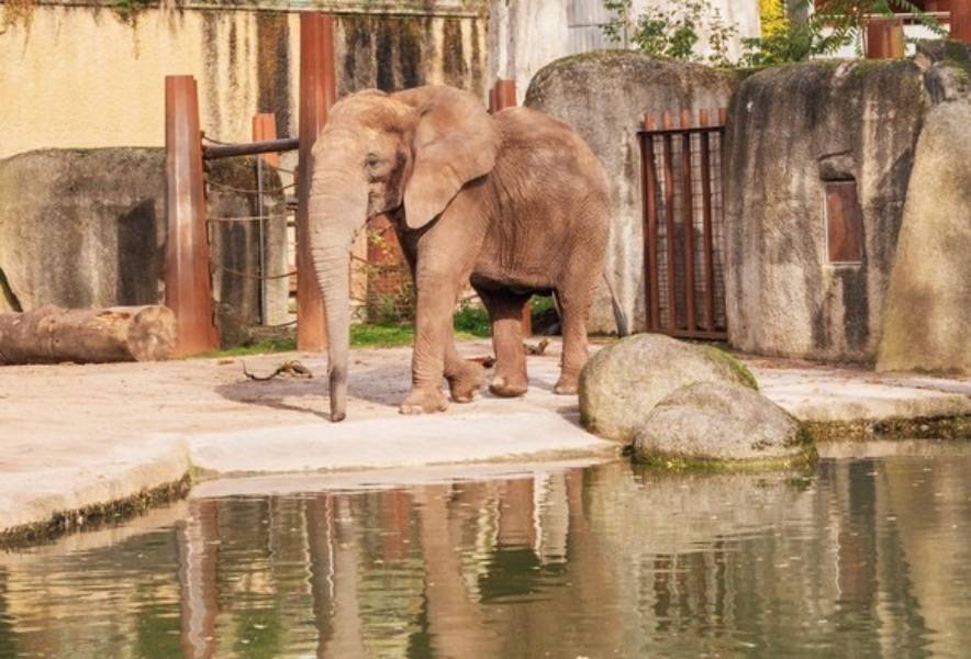 Quelle: Kolleg Freiburg